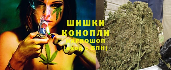 индика Новодвинск