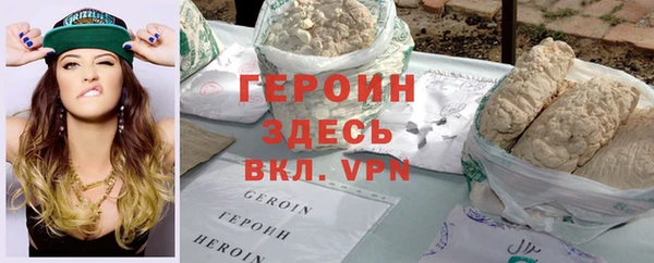 индика Новодвинск
