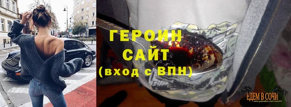 индика Новодвинск