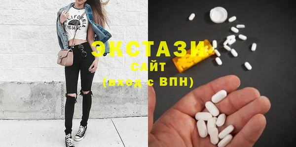 индика Новодвинск