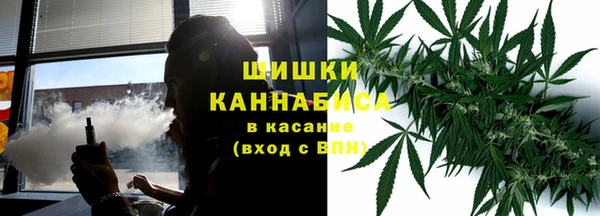 индика Новодвинск