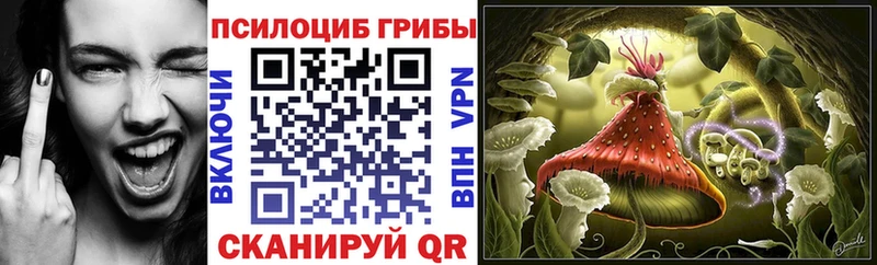 Галлюциногенные грибы Cubensis  Котово 